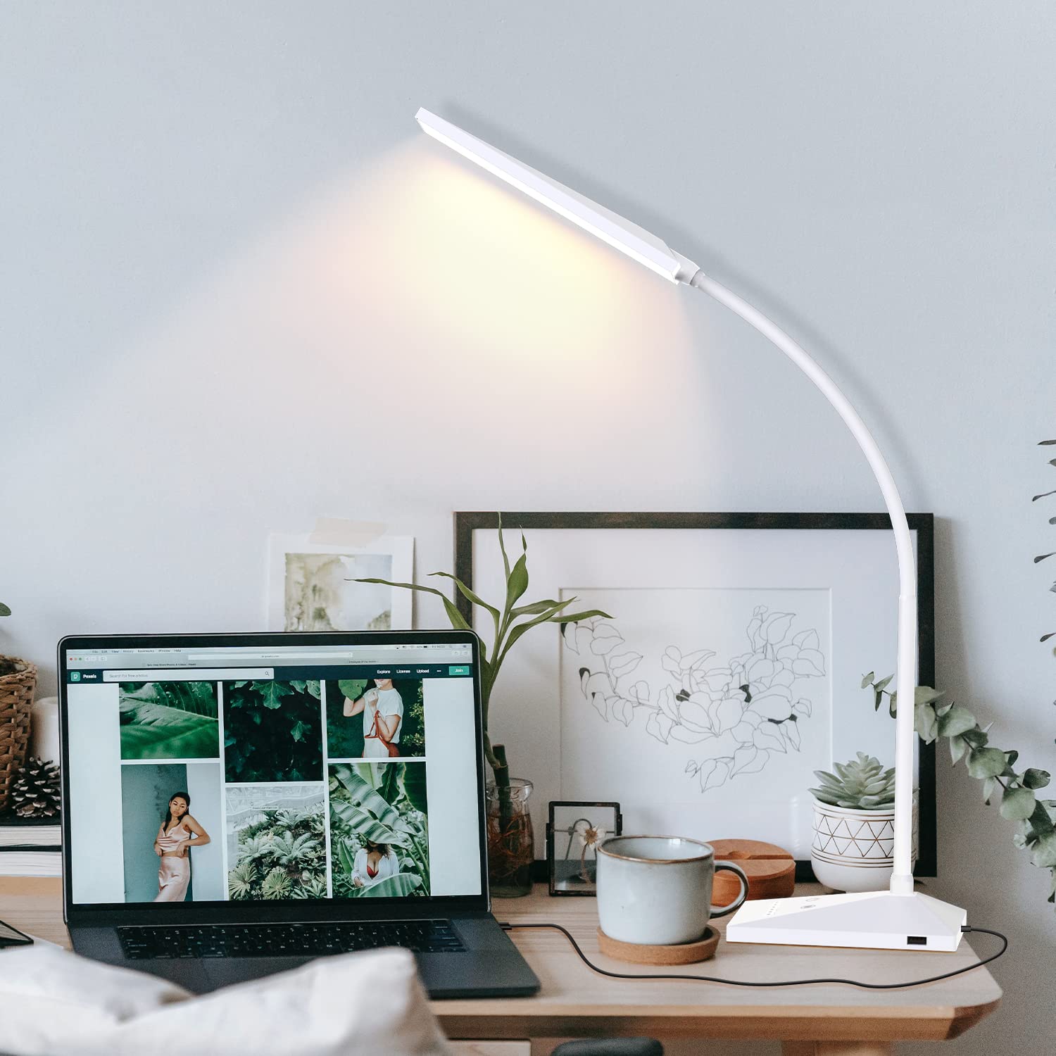 Dimmable LED Desk Lamp with USB Charging Port
