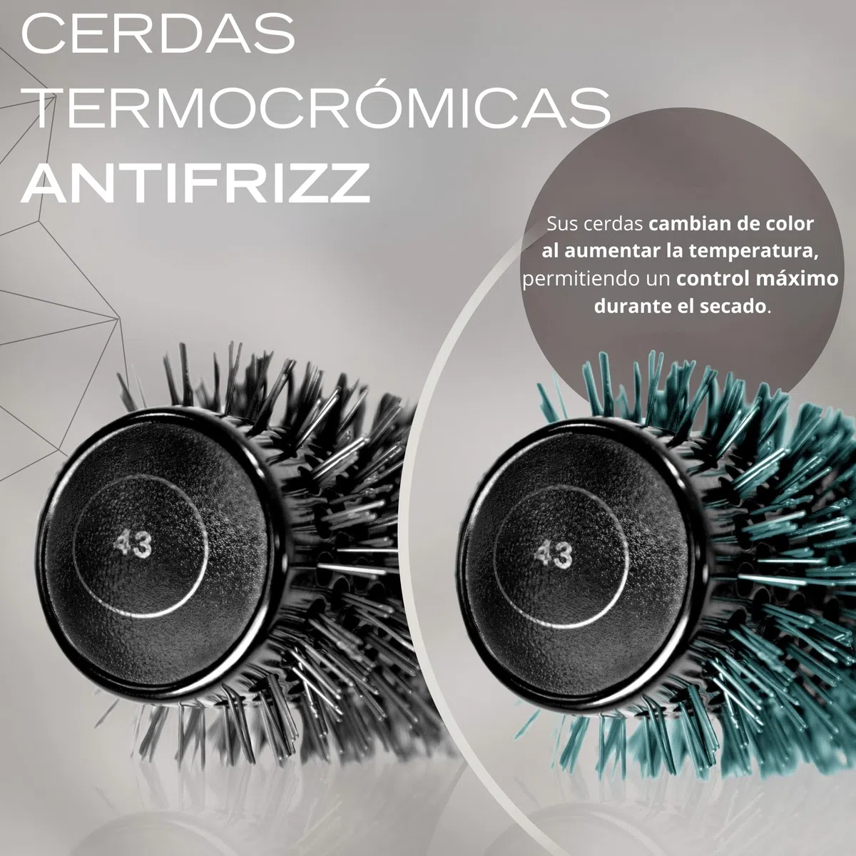 Corioliss Cepillo Redondo Pelo Profesional Kit 4 Tamaños Ø25-33-43-53 mm, Mango Antideslizante con Separador, Perfecto para Secar, Alisar y Dar Volumen con Secador - Brush Titanium Black Green