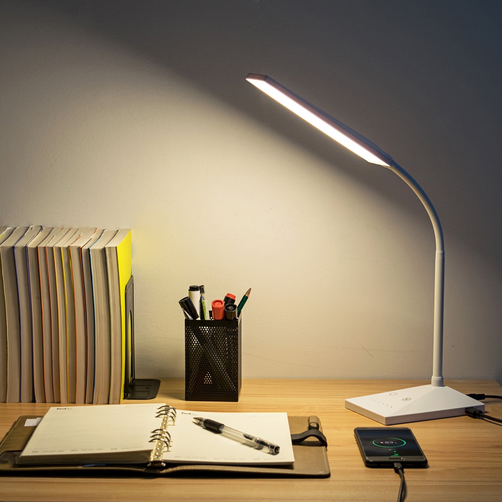 Dimmable LED Desk Lamp with USB Charging Port