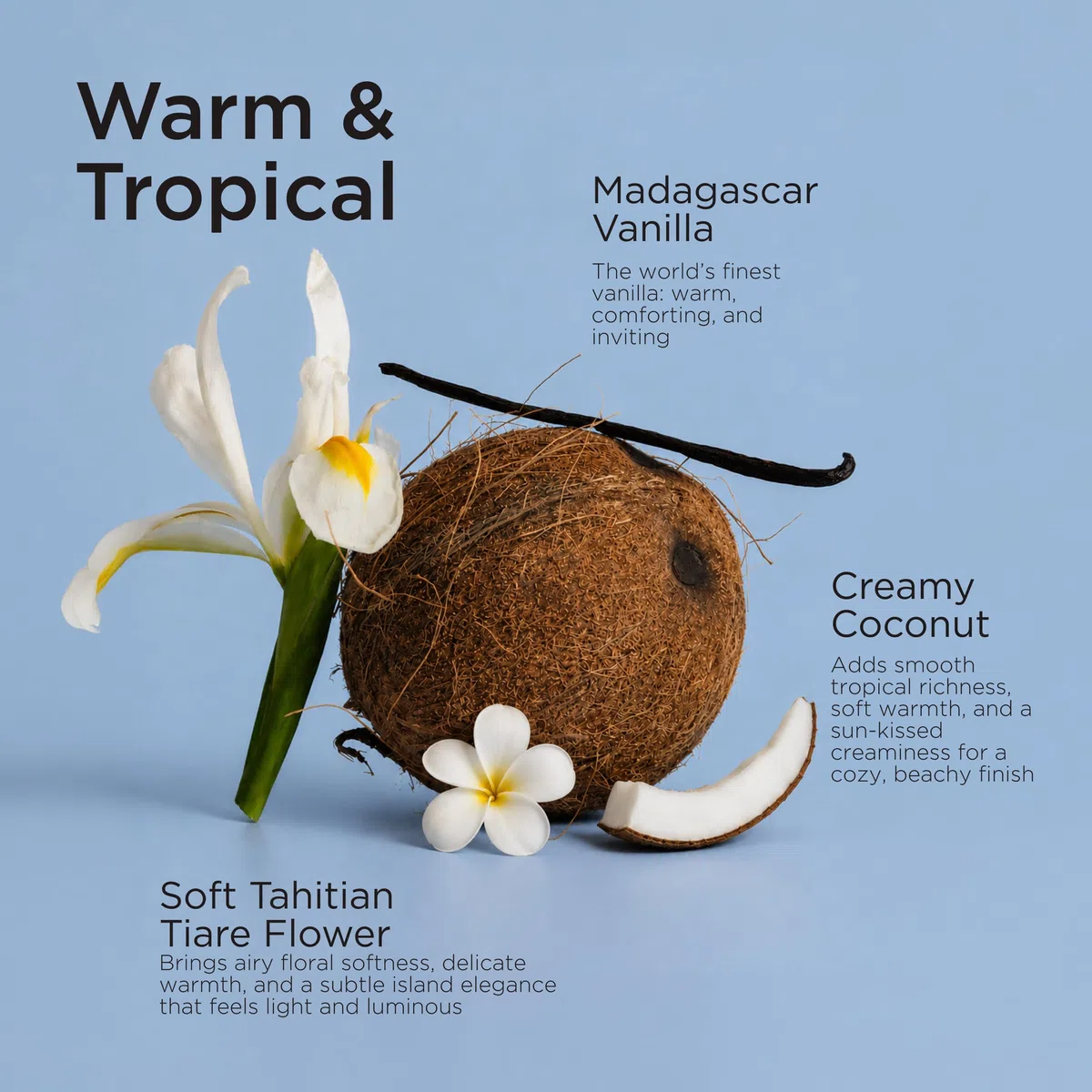 Lavanila Perfume de vainilla y coco para mujer, 1.7 onzas líquidas | Perfume Clean Vanilla de larga duración para mujer con vainilla de Madagascar - Fragancia natural, fragancias para mujer